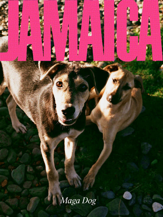 JAMAICA Poster - "Maga Dog"